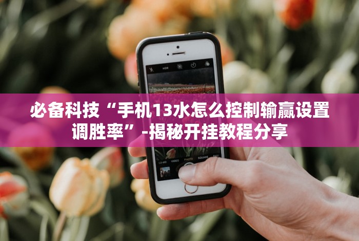 【总结文章“微乐填大坑开挂”开挂辅助教程