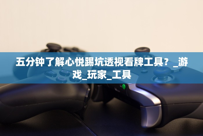 五分钟了解心悦踢坑透视看牌工具？_游戏_玩家_工具