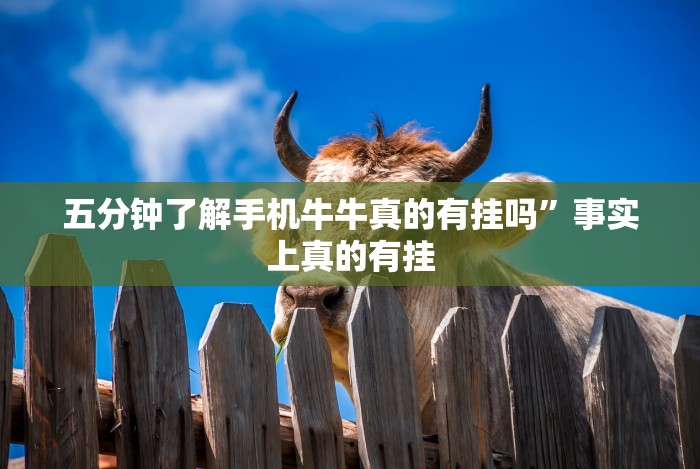 7分钟揭秘"新绍兴麻将有挂吗”真实开挂技巧分享