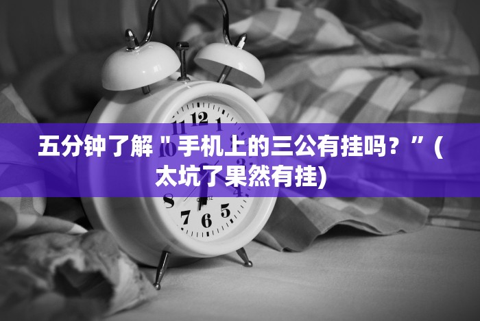 五分钟了解＂手机上的三公有挂吗？”(太坑了果然有挂)