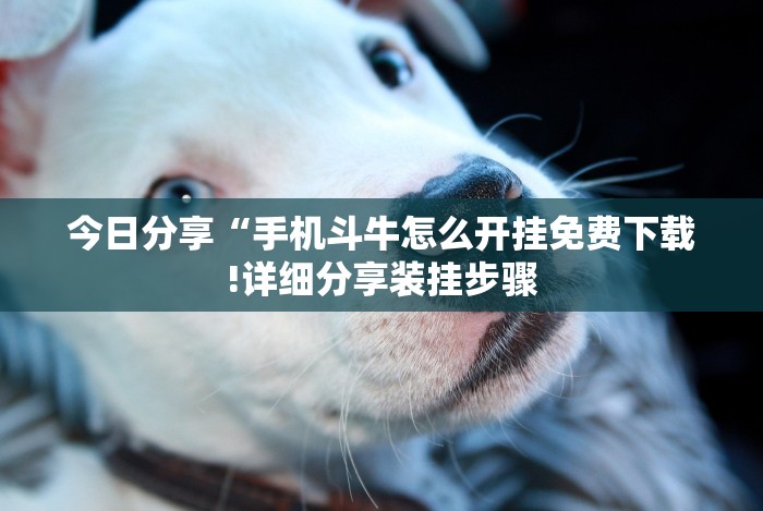 秒懂经验“聚友贵州麻将有挂没”其实确实有挂