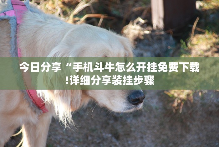 开挂辅助工具“微信大厅斗牛开挂安装软件!详细开挂教程