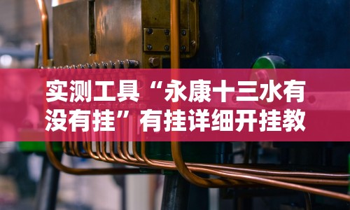 实测工具“永康十三水有没有挂”有挂详细开挂教程