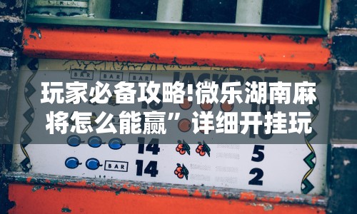 玩家必备攻略!微乐湖南麻将怎么能赢”详细开挂玩法