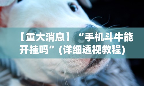 【重大消息】“手机斗牛能开挂吗”(详细透视教程)