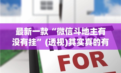 2026首发教程“新星游开挂辅助软件”附开挂脚本
