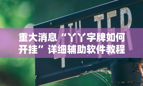 重大消息“丫丫字牌如何开挂”详细辅助软件教程