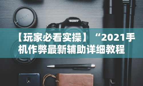 【玩家必看实操】“2021手机作弊最新辅助详细教程