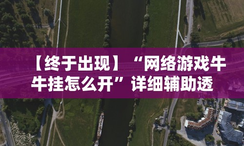 【终于出现】“网络游戏牛牛挂怎么开”详细辅助透视
