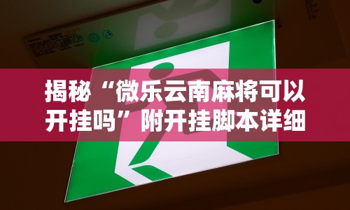 揭秘“微乐云南麻将可以开挂吗”附开挂脚本详细教程