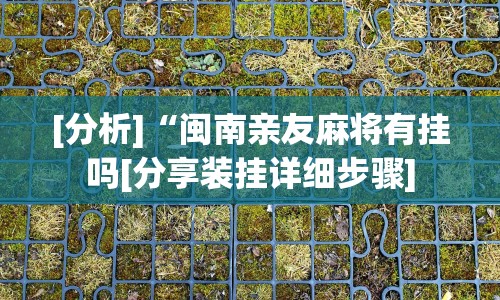 [分析]“闽南亲友麻将有挂吗[分享装挂详细步骤]