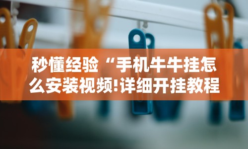 秒懂经验“手机牛牛挂怎么安装视频!详细开挂教程