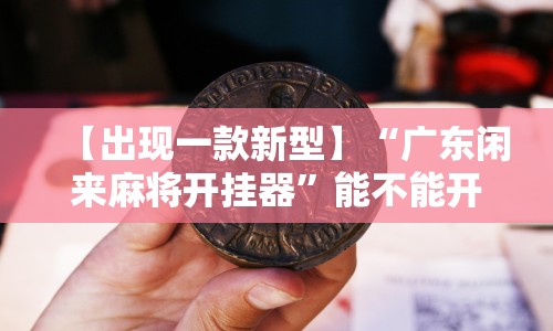 【出现一款新型】“广东闲来麻将开挂器”能不能开挂!