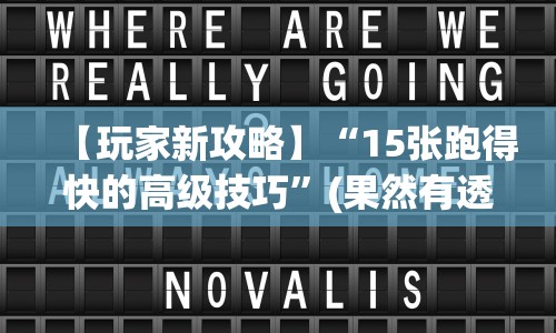 【玩家新攻略】“15张跑得快的高级技巧”(果然有透视挂) 