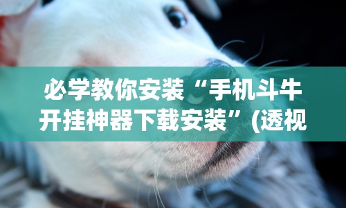 必学教你安装“手机斗牛开挂神器下载安装”(透视曝光猫腻)