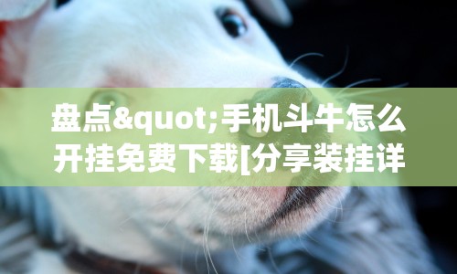 盘点"手机斗牛怎么开挂免费下载[分享装挂详细步骤]