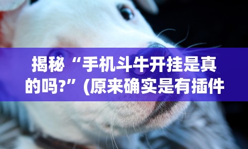 揭秘“手机斗牛开挂是真的吗?”(原来确实是有插件) 