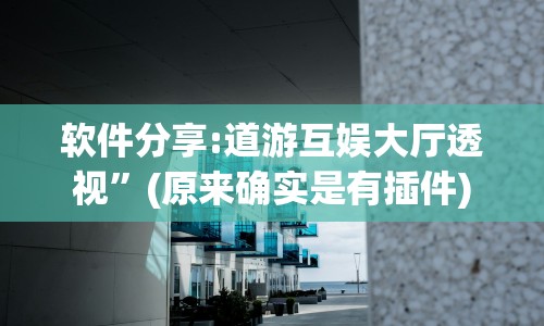 软件分享:道游互娱大厅透视”(原来确实是有插件)