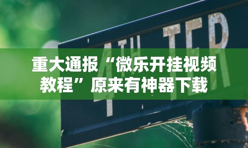 重大通报“微乐开挂视频教程”原来有神器下载