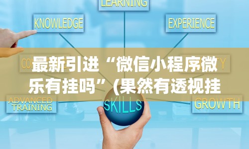 最新引进“微信小程序微乐有挂吗”(果然有透视挂) 