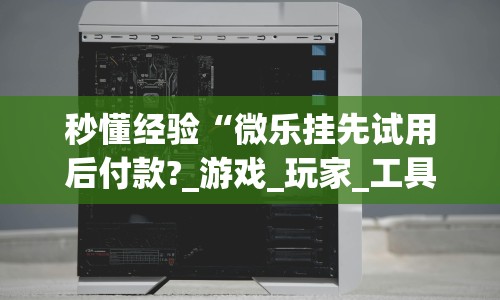 秒懂经验“微乐挂先试用后付款?_游戏_玩家_工具