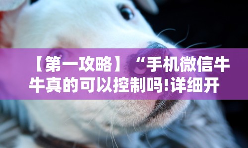 【第一攻略】“手机微信牛牛真的可以控制吗!详细开挂教程